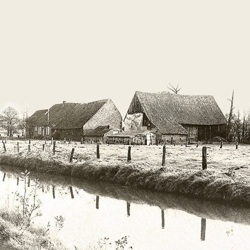 De Waelehoef in Schaffen