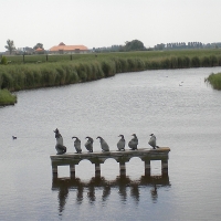 Het Krekengebied in het Meetjesland